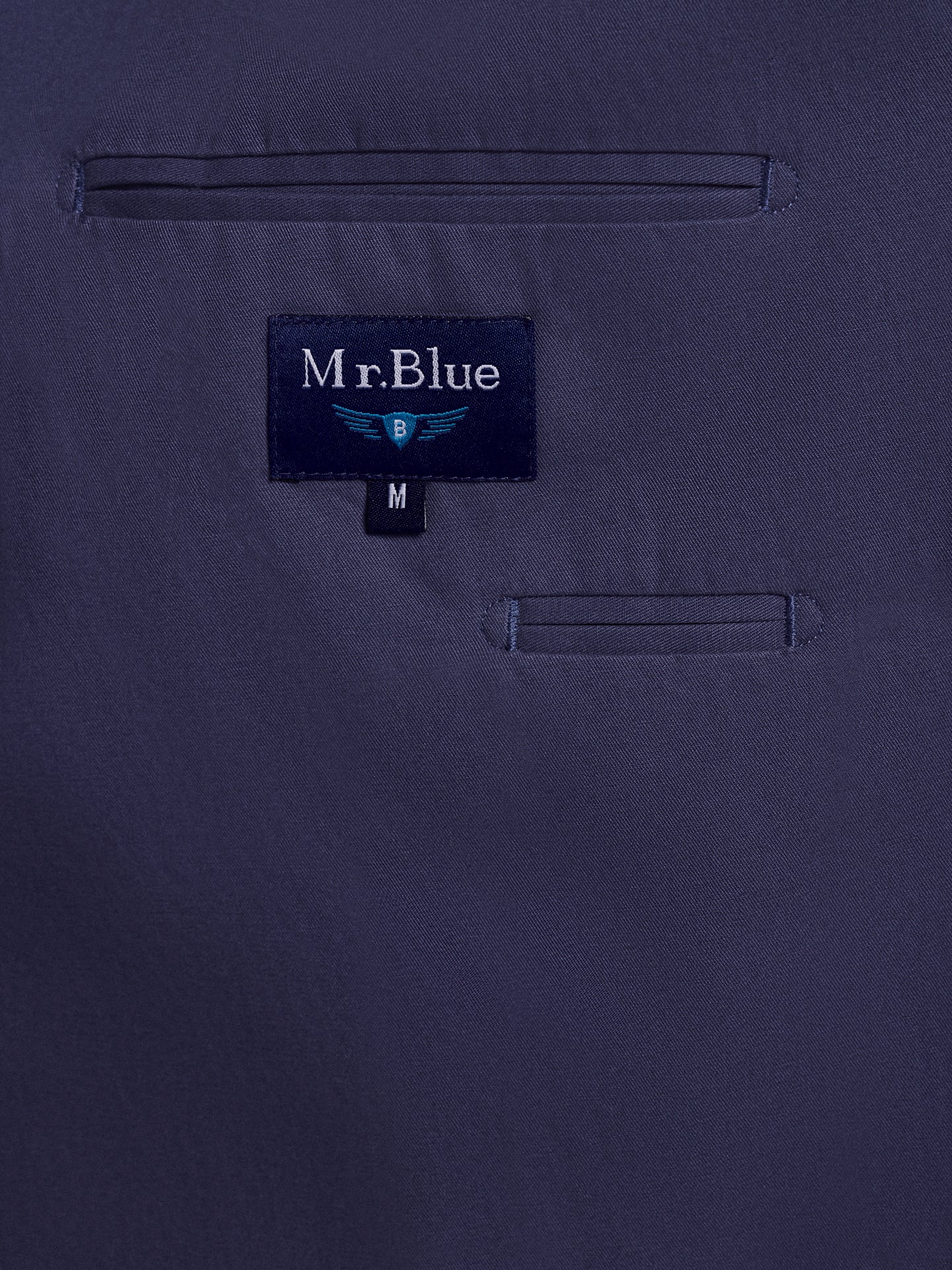 BLAZER AZUL REGULAR FIT MR. BLUE