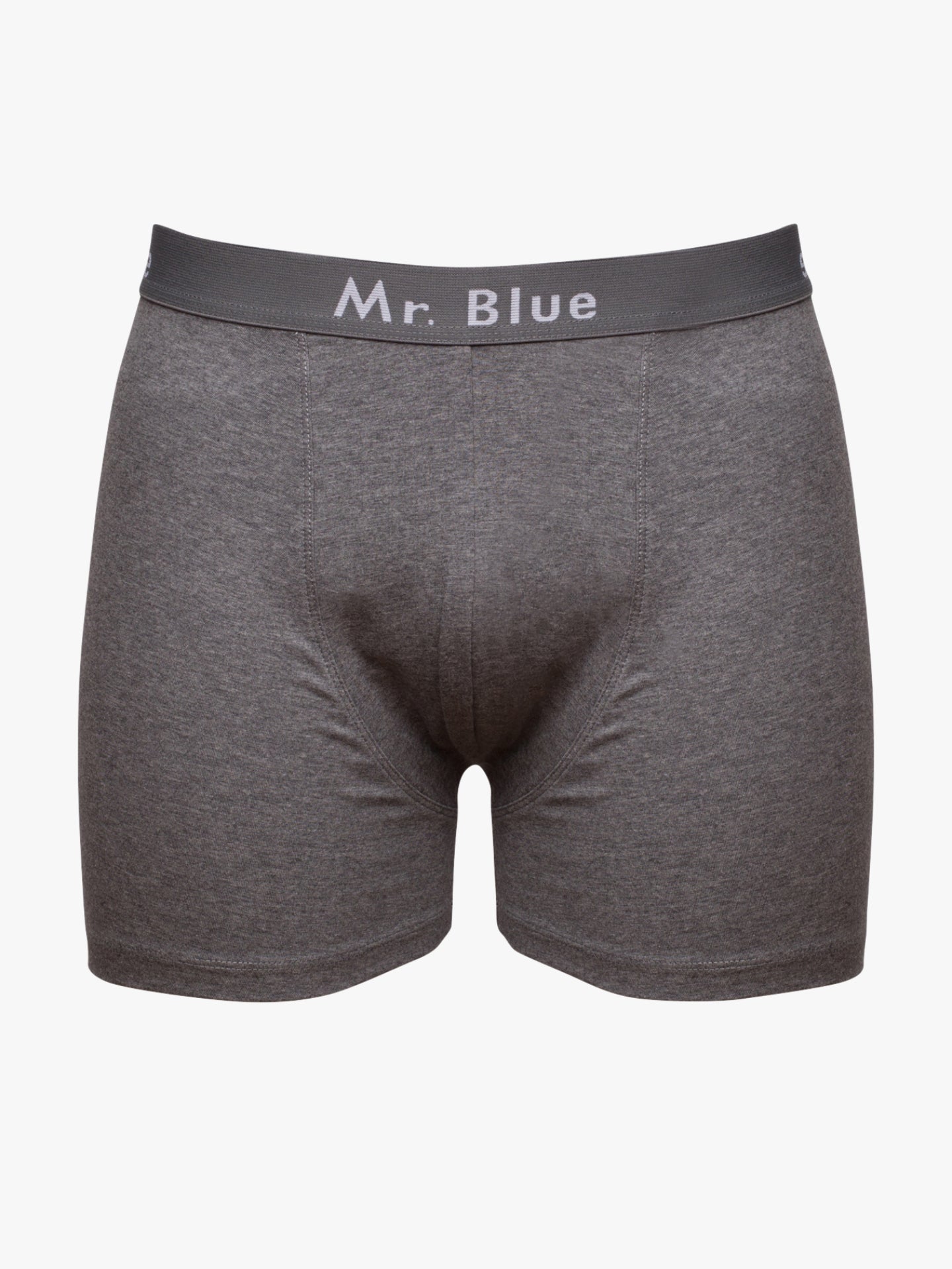 BOXER CINZENTOS CLASSIC FIT MR. BLUE