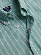 Camisa Regular Fit Oxford Verde Mr. Blue