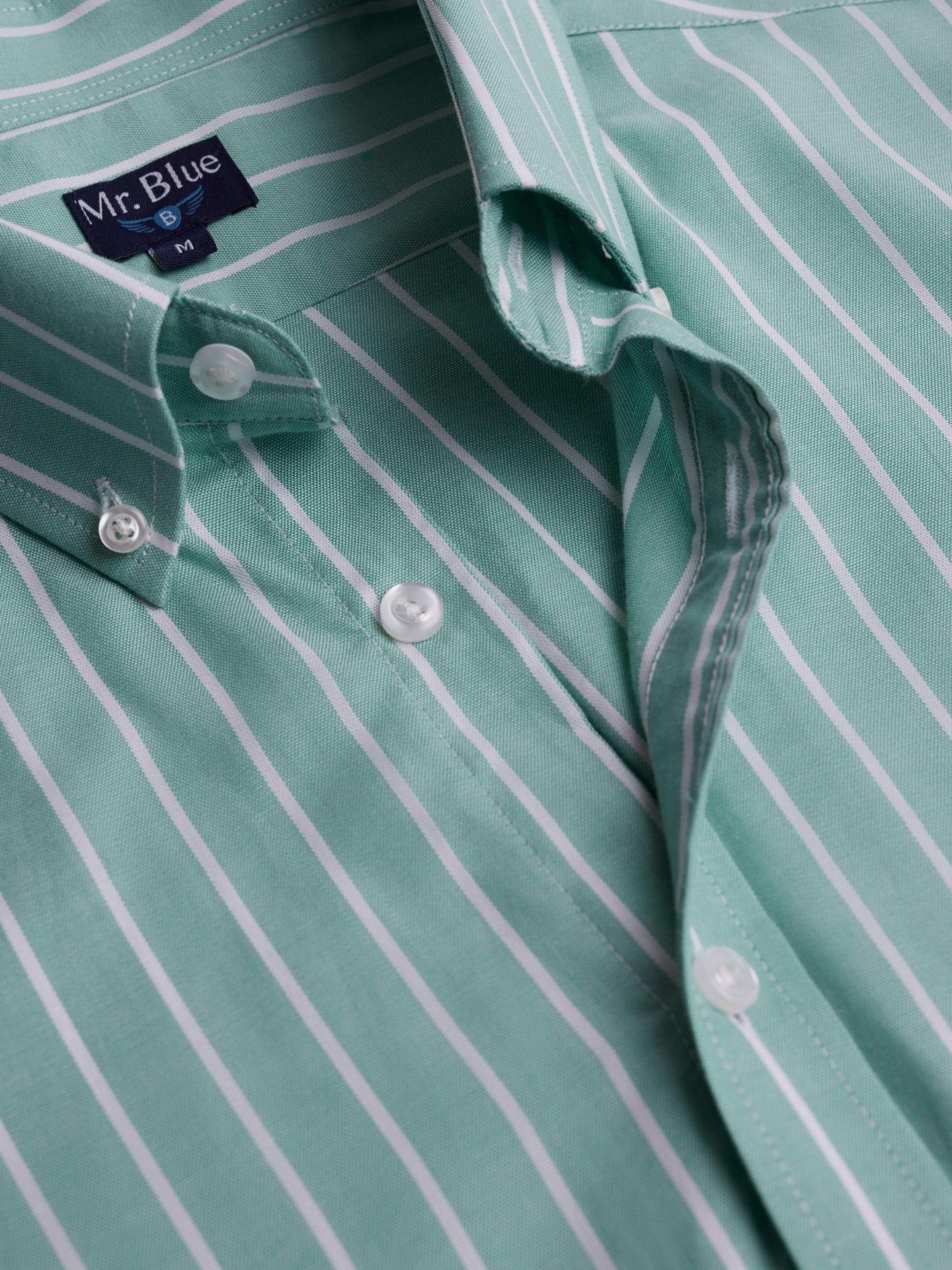 Camisa Regular Fit Oxford Verde Mr. Blue