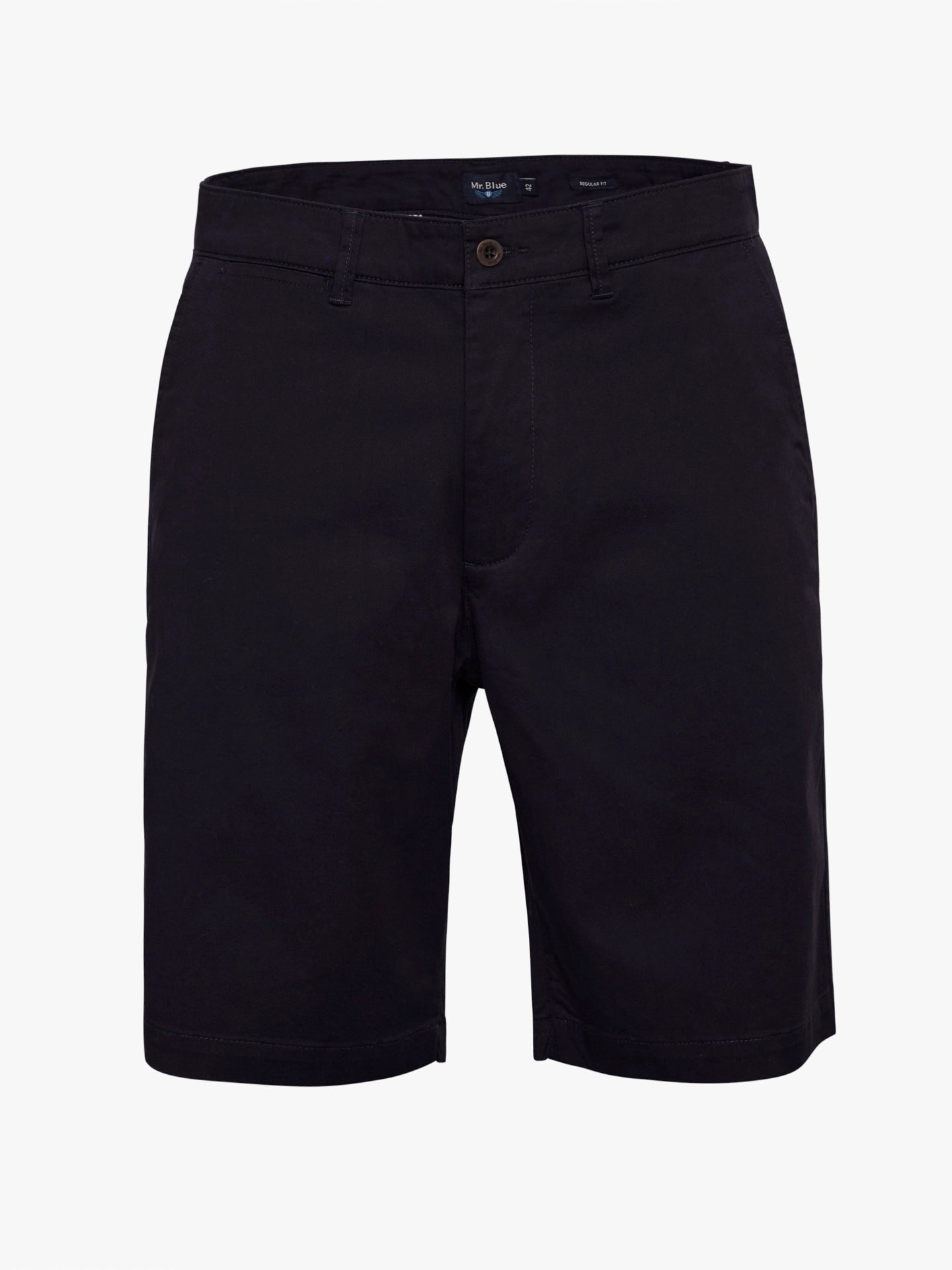 Calções Regular Fit Azuis Mr. Blue